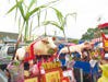 神豬祭祀1