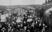 大溪福仁宮神豬祭