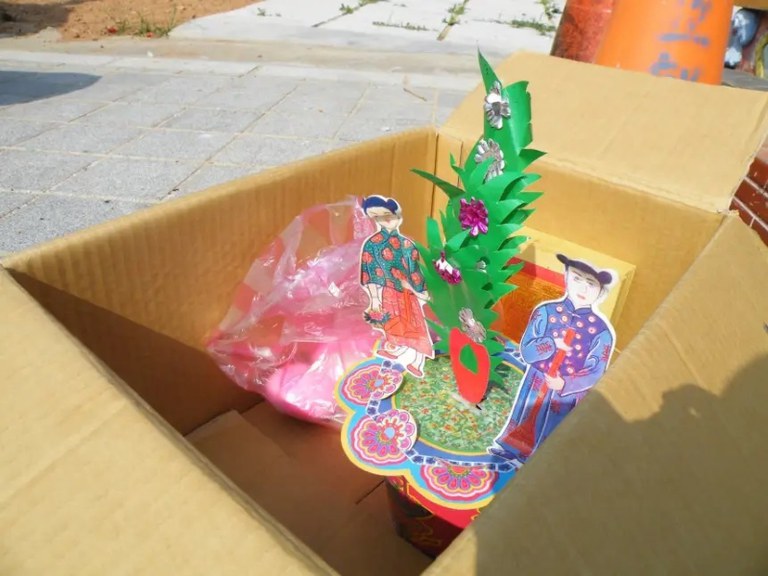 花樹下：你的本命樹最近澆水了嗎？