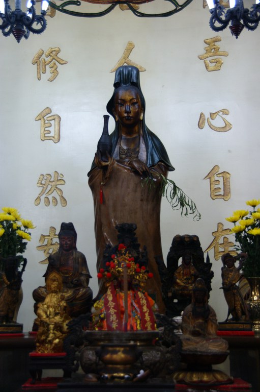 洪麗雯拍攝2011.3.16