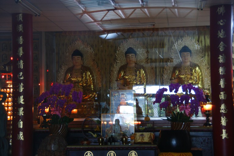 洪麗雯拍攝2011.3.22 