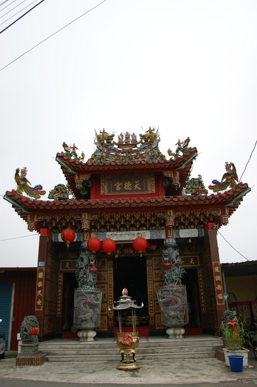 洪麗雯拍攝2011.3.22