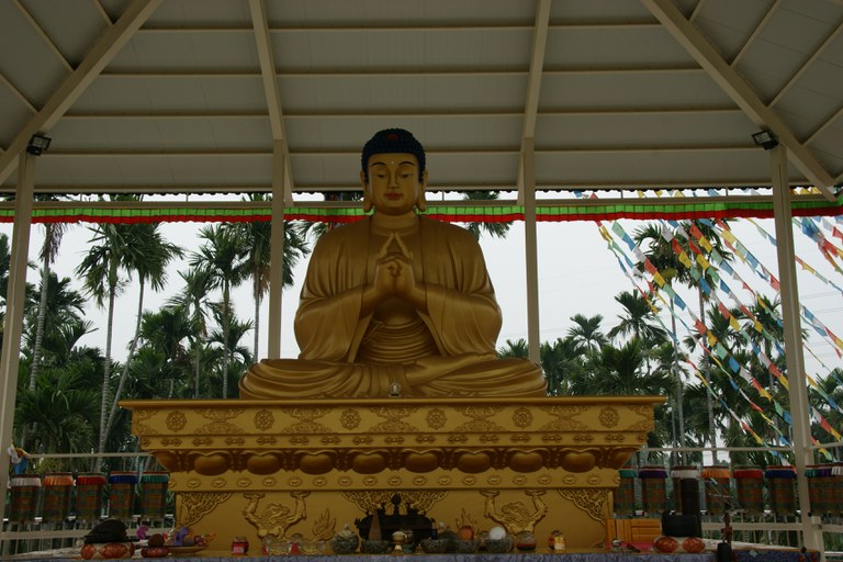 洪麗雯拍攝2011.4.5 