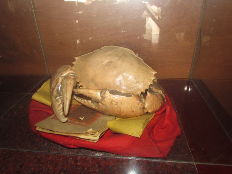 蟳王公之殼