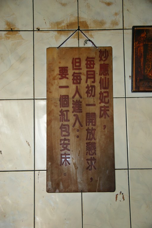 洪麗雯拍攝2011.4.7
