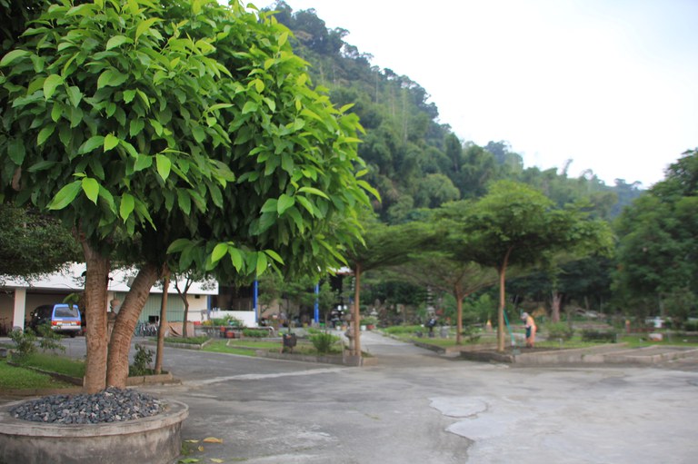 蓮光禪寺一景