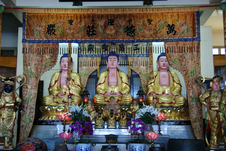 洪麗雯拍攝2011.5.11
