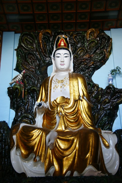 洪麗雯拍攝2011.5.10