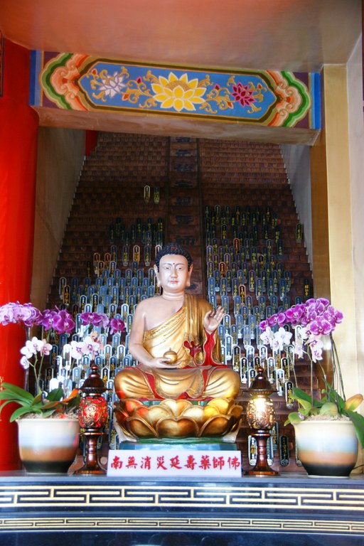 洪麗雯拍攝2011.5.10