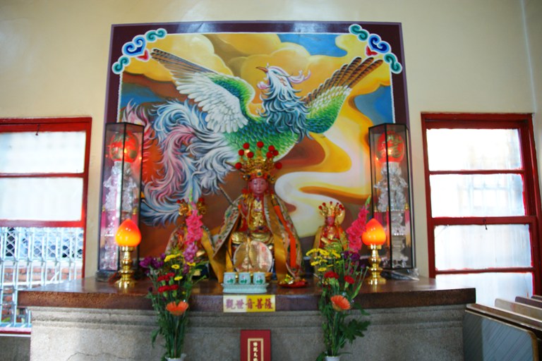 洪麗雯拍攝2011.5.10