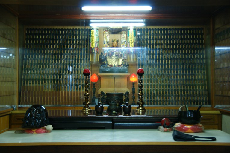 洪麗雯拍攝2011.5.27