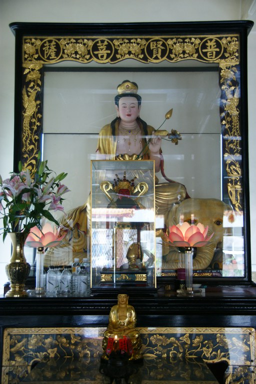洪麗雯拍攝2011.5.27