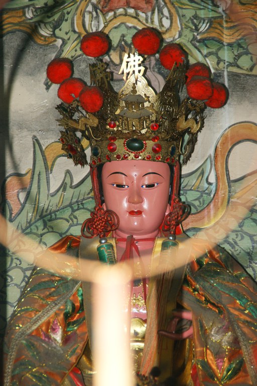 洪麗雯拍攝2011.5.13