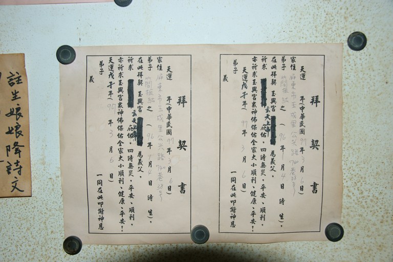 洪麗雯拍攝2011.5.13
