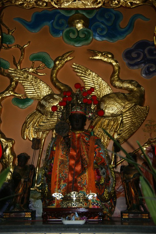 洪麗雯拍攝2011.6.3