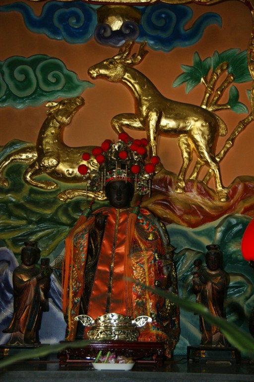 洪麗雯拍攝2011.6.3