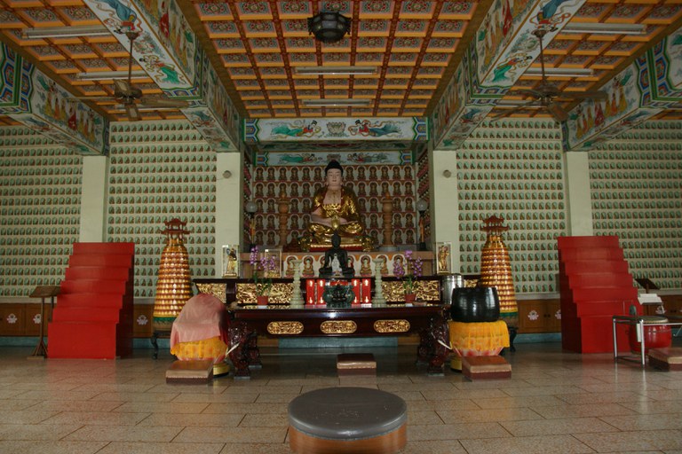 洪麗雯拍攝2011.5.30