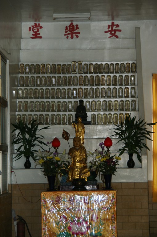 洪麗雯拍攝2011.4.13